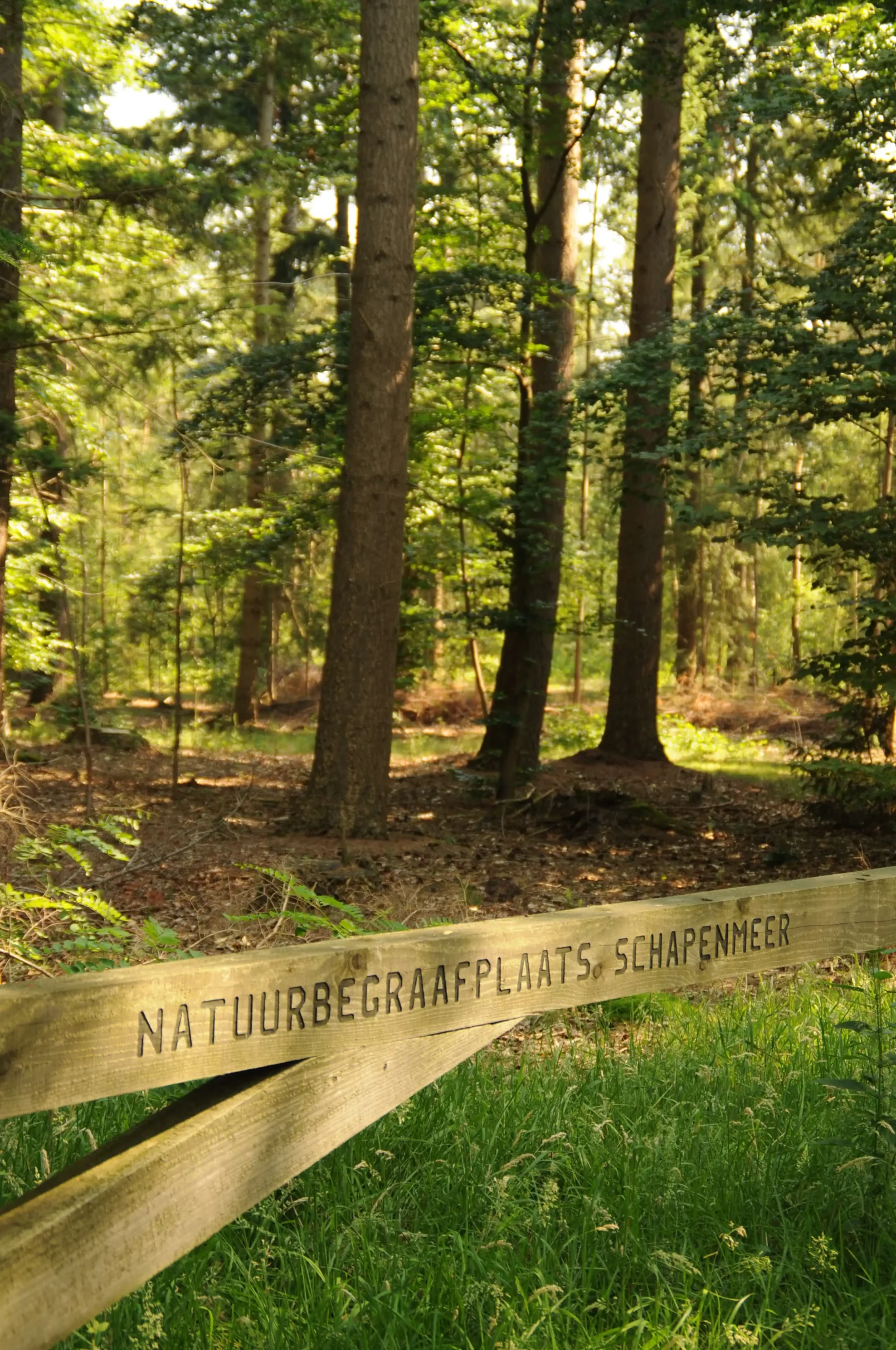 Het toegangshek van natuurbegraafplaats schapenmeer